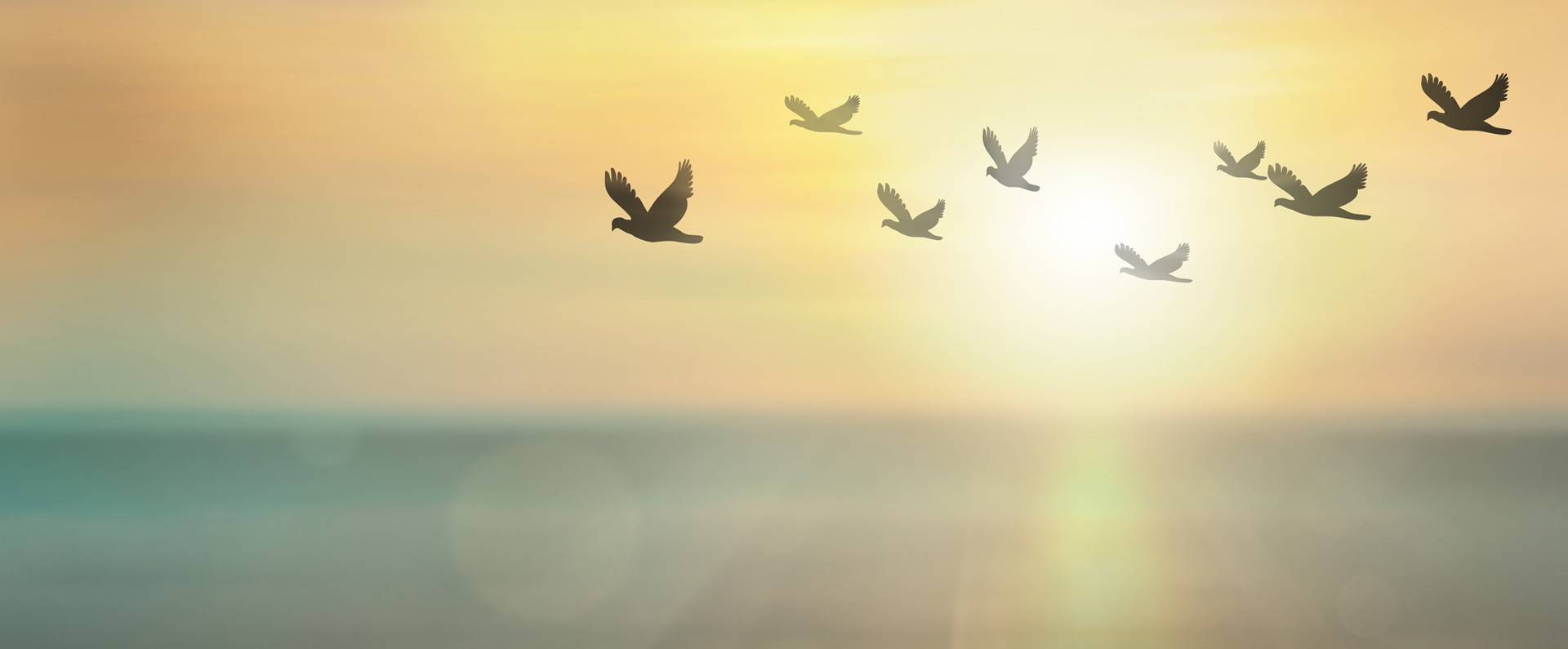 Soundmindtherapy Slide3 Flipped